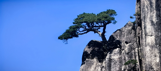 黄山风景区第 158 张图片