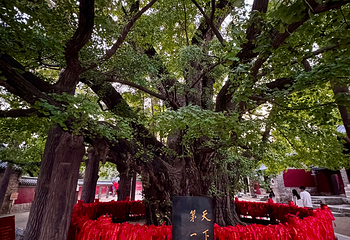 浮来山风景区第 38 张图片