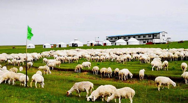 锡林郭勒乌拉盖原生态旅游牧场