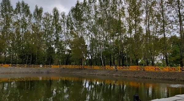 绥棱县植物观赏园