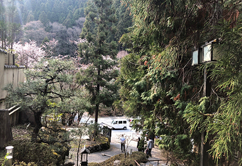 鞍马温泉第 11 张图片