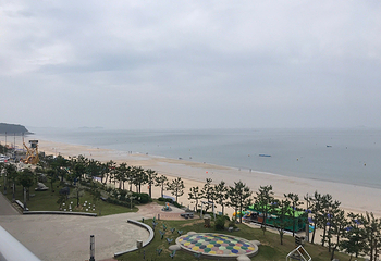 大川海水浴场第 16 张图片