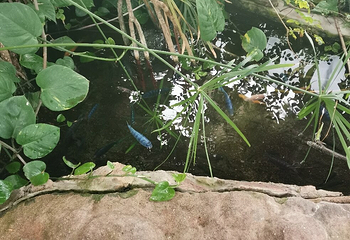 生物圈第 12 张图片