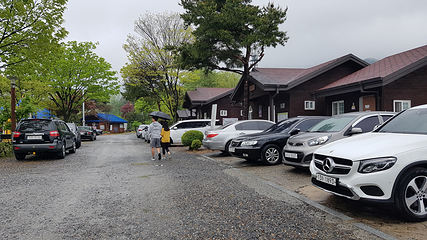 大芚山自然休养林第 9 张图片