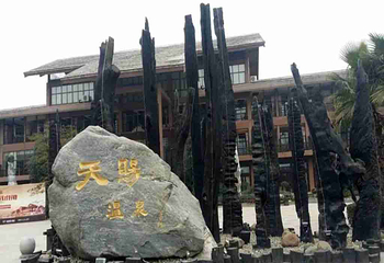 天赐华汤森林温泉(重庆璧山店)第 17 张图片