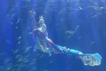 华夏文旅海洋公园第 110 张图片
