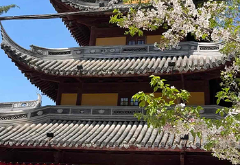 龙华寺第 12 张图片