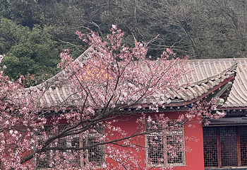 九宫山景区第 42 张图片