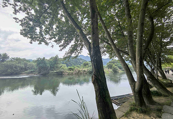 古堰画乡旅游度假区第 75 张图片
