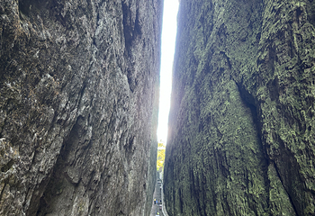 江郎山风景名胜区第 127 张图片