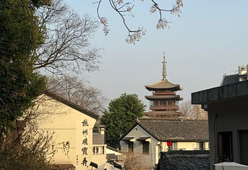 南宋御街第 89 张图片
