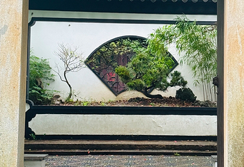 亭林园第 63 张图片