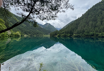 九寨沟风景区第 234 张图片