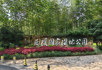 西溪国家湿地公园第 135 张图片