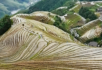 龙脊梯田第 208 张图片