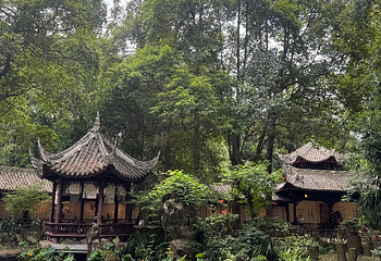 杜甫草堂第 337 张图片