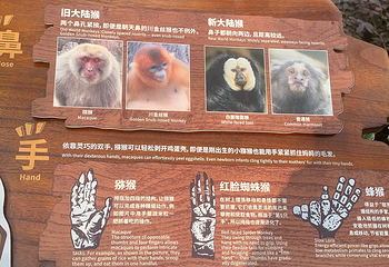 红山森林动物园第 210 张图片