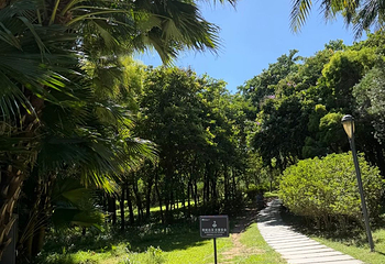 深圳湾公园第 46 张图片
