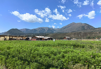 禾木风景区第 134 张图片