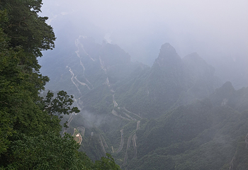 天门山国家森林公园第 686 张图片