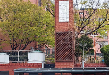 明洞第 63 张图片