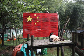 天目湖南山竹海第 169 张图片