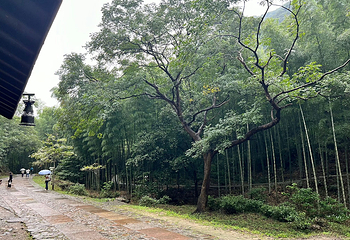黄公望隐居地第 66 张图片