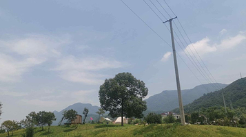 上江百花园-湖心岛