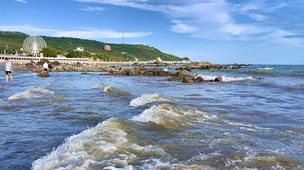 阳西湾生态园第 1 张图片