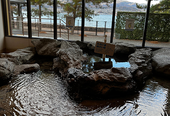 宫岛水族馆第 20 张图片