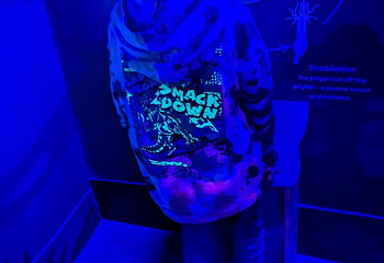 SEA LIFE Scarborough第 18 张图片
