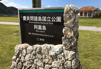 庆良间诸岛第 14 张图片