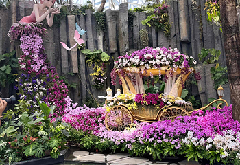 上海温室花园第 68 张图片