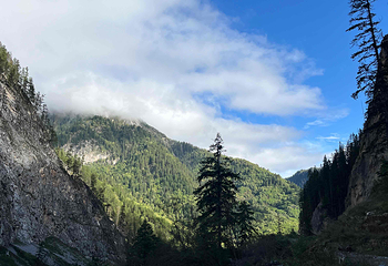 九寨沟风景区第 526 张图片