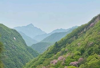 太平国家森林公园第 54 张图片