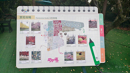 花开海上生态园第 119 张图片