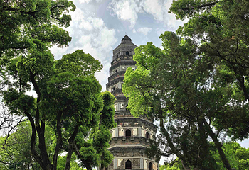 虎丘山风景名胜区第 175 张图片