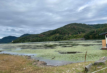 南怡岛第 60 张图片