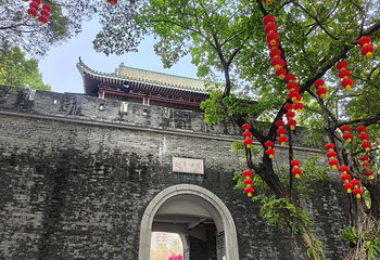 越秀公园第 83 张图片