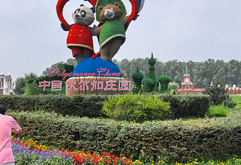 伏尔加庄园第 522 张图片