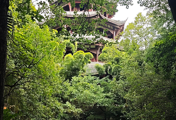 杜甫草堂第 404 张图片