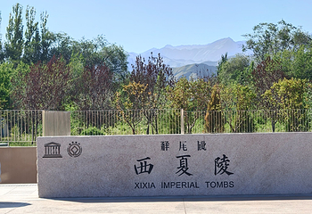 西夏陵第 69 张图片