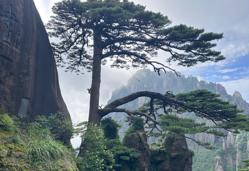 黄山风景区第 308 张图片