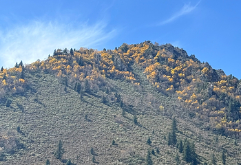 祁连山冰沟河景区第 122 张图片