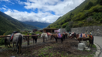 四姑娘山长坪沟景区第 12 张图片