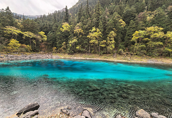 九寨沟风景区第 354 张图片