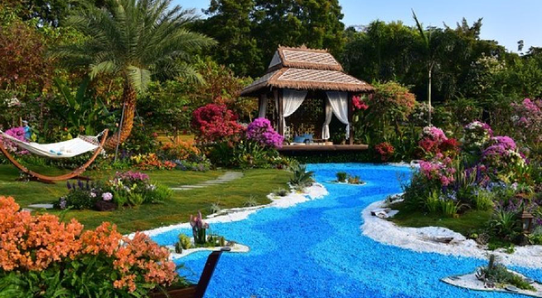 莲花山公园-C区