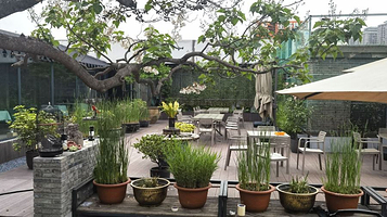 观汉雅集艺术馆