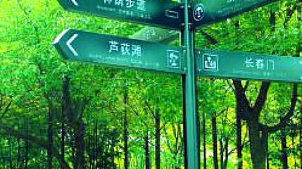 汉口江滩-芦苇滩第 1 张图片