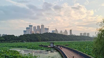 月湖风景区-木栈道